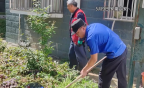 ����һС��700��ƽ��Υ��˵ر�����