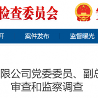 ���������ܻ�ɽ�ؼ�ί������