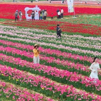 �������ڣ�����̤���ͻ� ����������������