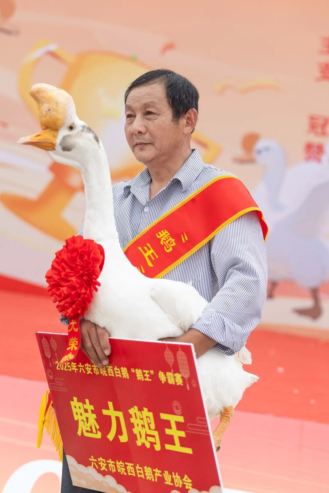 ef0f388932f137011f66e0b9566b5d97.jpeg ef0f388932f137011f66e0b9566b5d97.jpeg