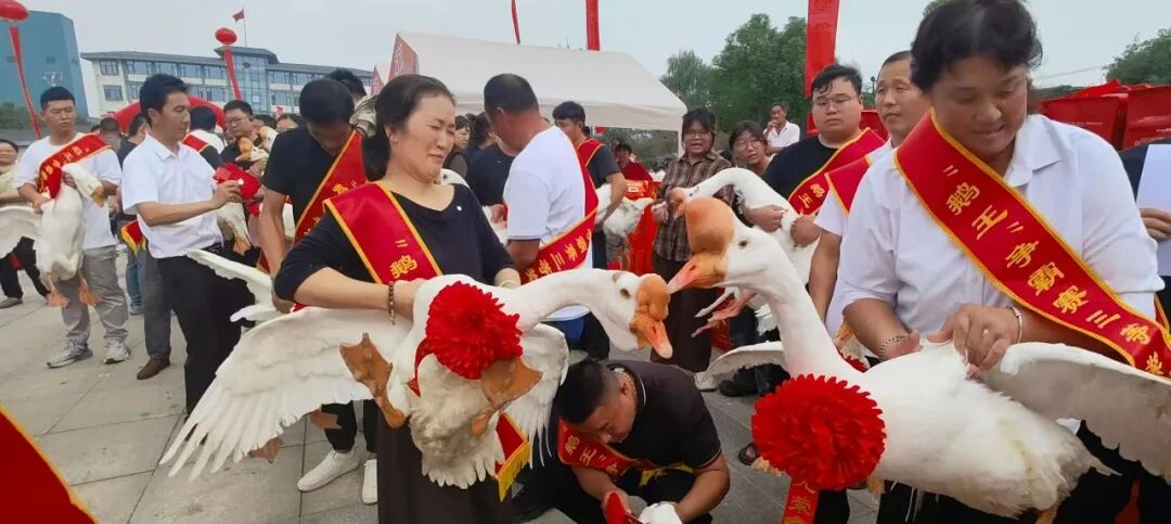 f6cc3988b08f296bc6e56fc400c0281b.jpeg f6cc3988b08f296bc6e56fc400c0281b.jpeg